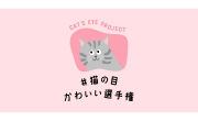 猫の目かわいい選手権のサムネイル画像