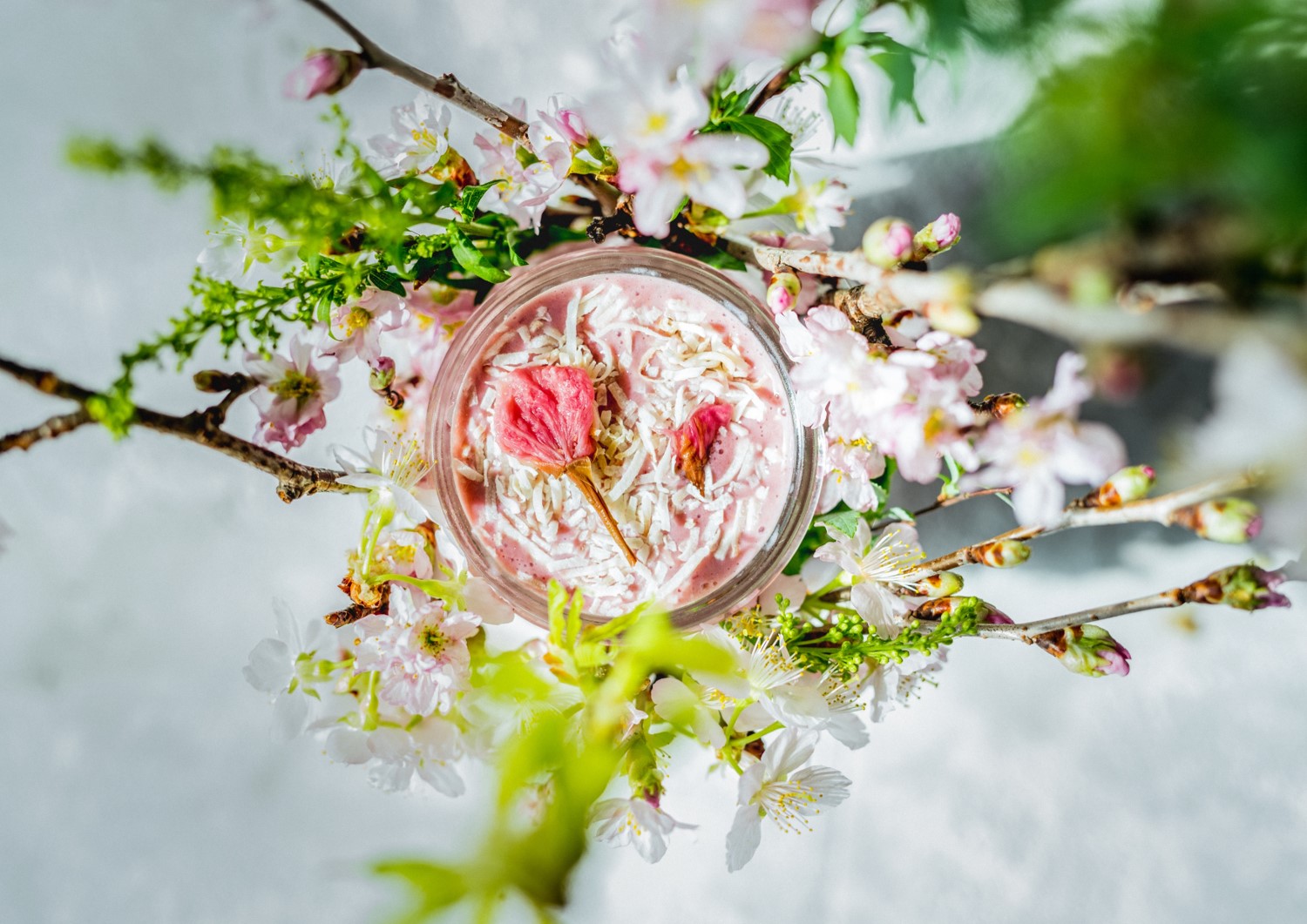 /upload/casestudy/content/nishino_04.jpg