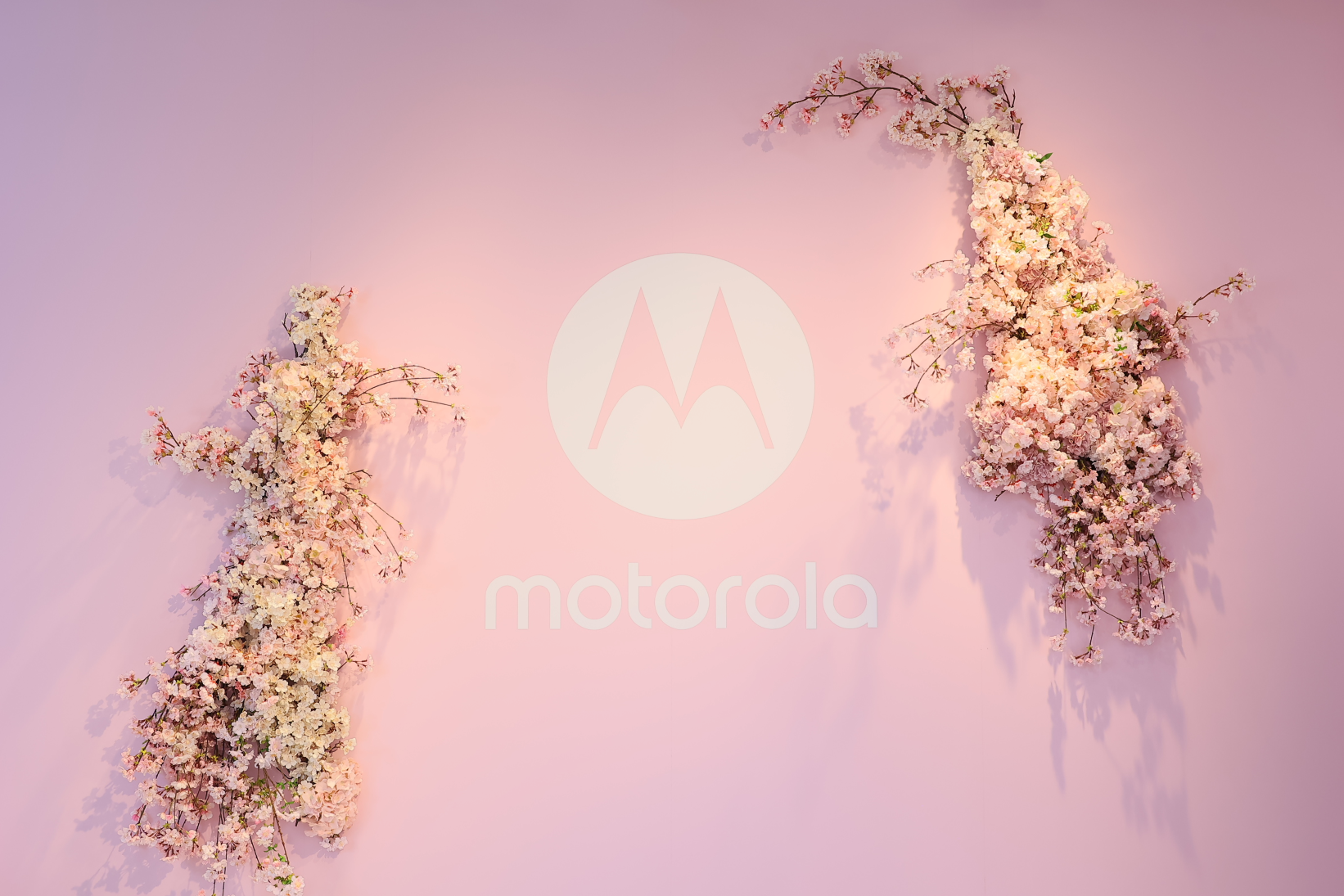 /upload/casestudy/content/sakuraPOP-UP_4.png