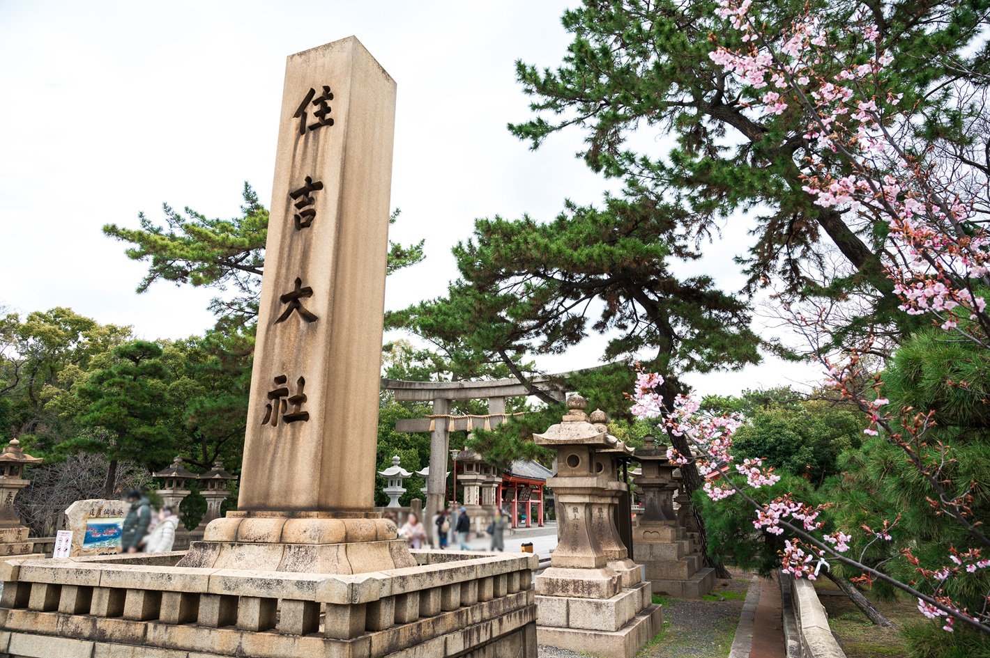 /upload/casestudy/content/戦略②-1.jpg